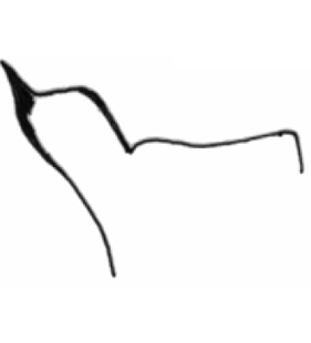 speciesimage