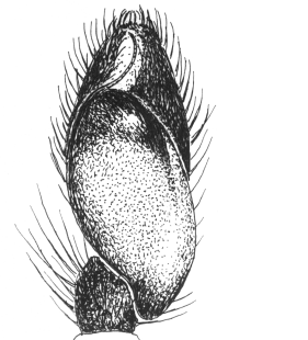 speciesimage