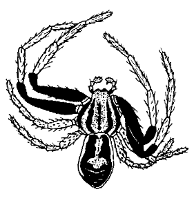 speciesimage