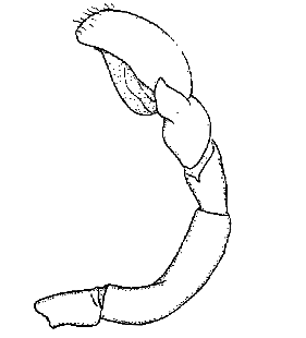 speciesimage