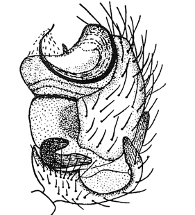 speciesimage