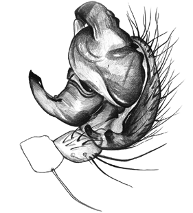 speciesimage