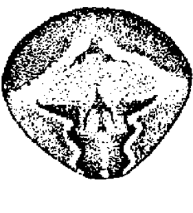 speciesimage