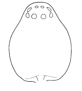 speciesimage
