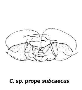 speciesimage