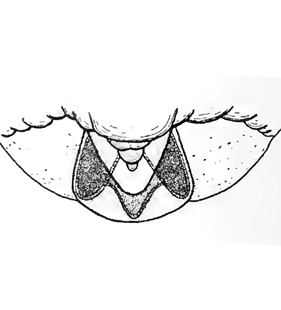 speciesimage