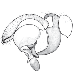 speciesimage