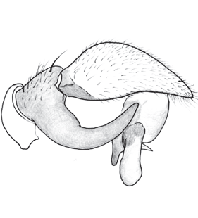 speciesimage