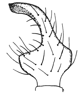 speciesimage