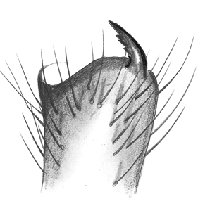 species