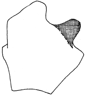 species