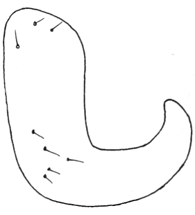 species