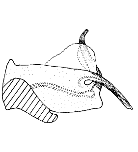 speciesimage