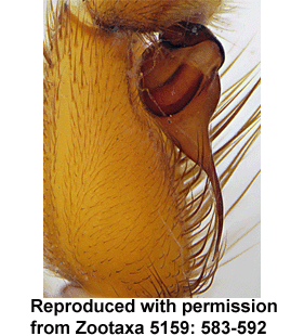 speciesimage