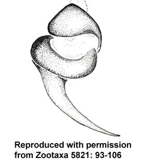 speciesimage