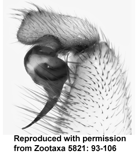 speciesimage