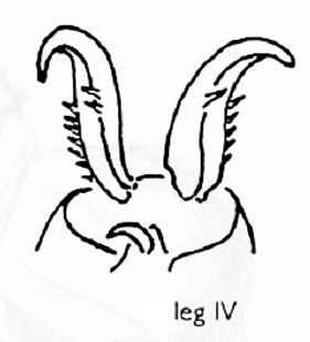 speciesimage