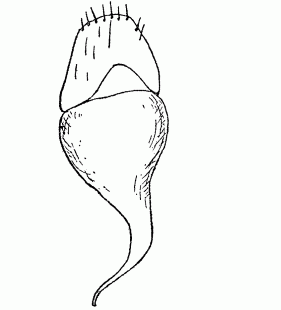 speciesimage