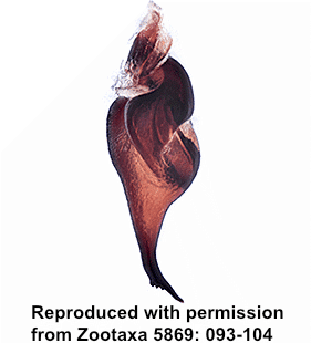 speciesimage