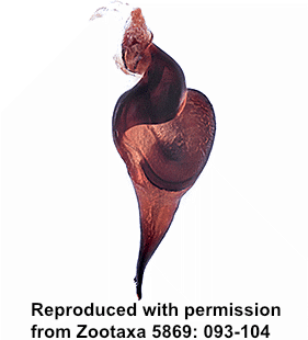 speciesimage