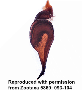 speciesimage