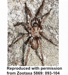 speciesimage