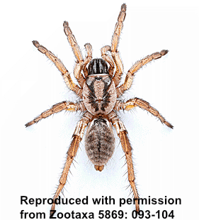 speciesimage