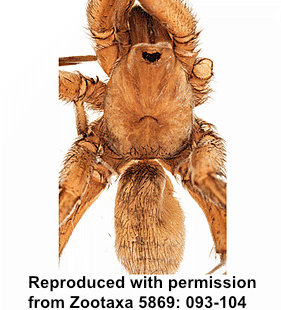 speciesimage