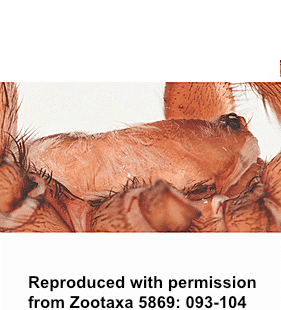 speciesimage