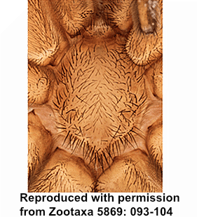 speciesimage