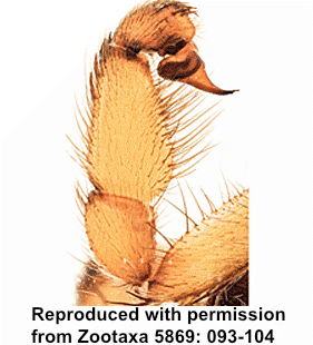 speciesimage