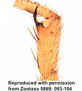 speciesimage