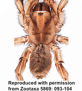 speciesimage