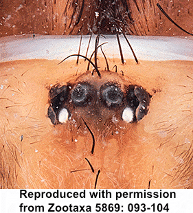speciesimage