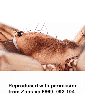 speciesimage