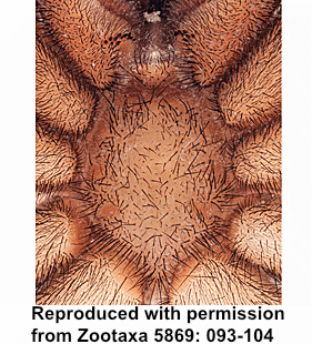 speciesimage