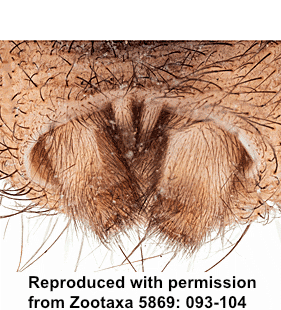 speciesimage