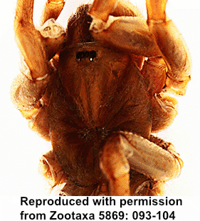 speciesimage