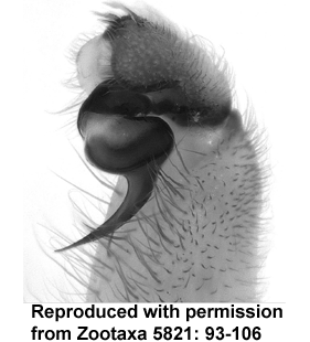 speciesimage