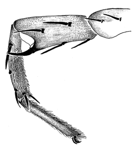 speciesimage