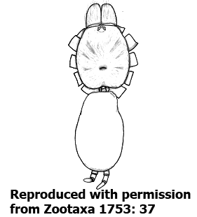 species