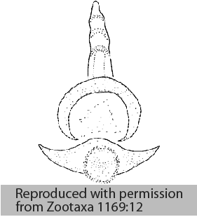 speciesimage
