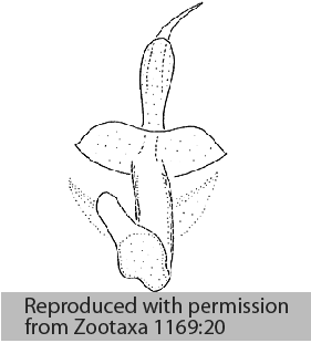 speciesimage