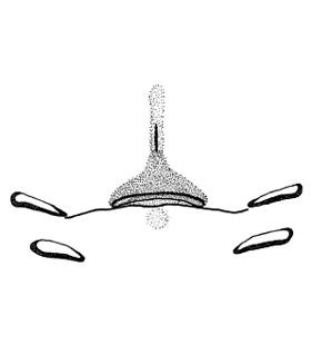 speciesimage