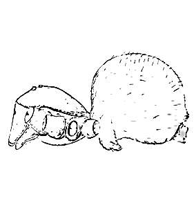 speciesimage