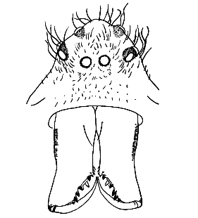 speciesimage