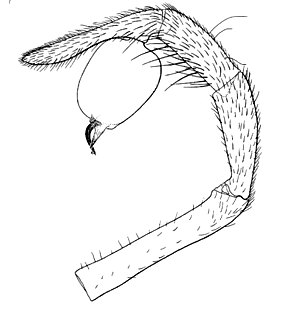speciesimage