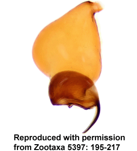 speciesimage