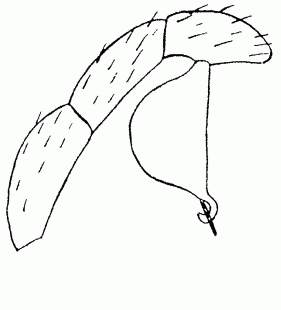 speciesimage