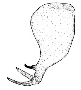 speciesimage